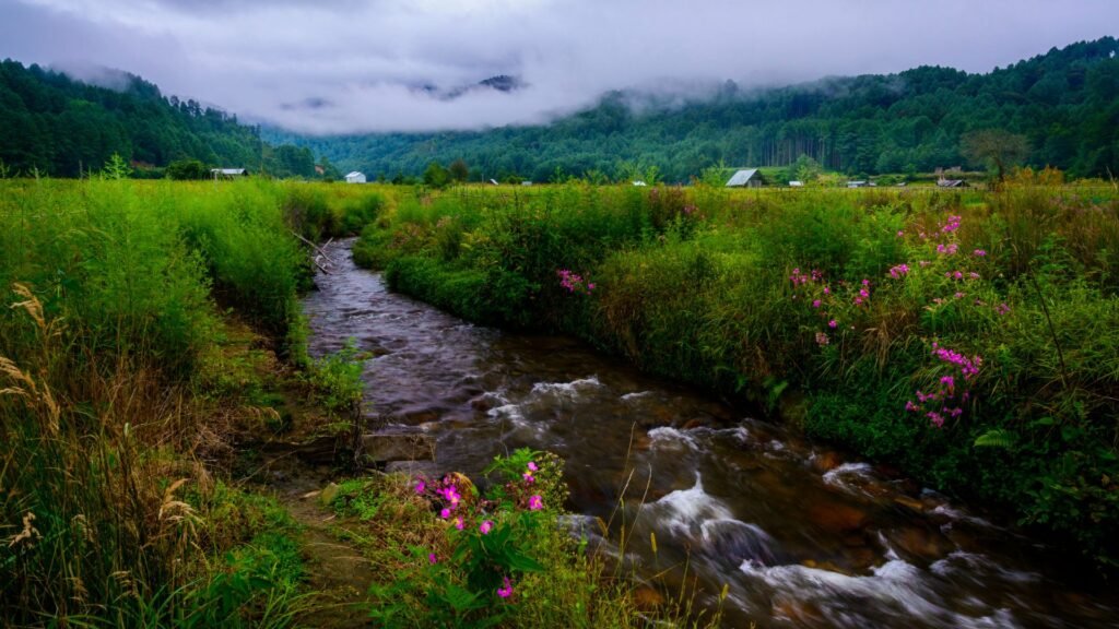 Ziro Valley Arunachal Pradesh