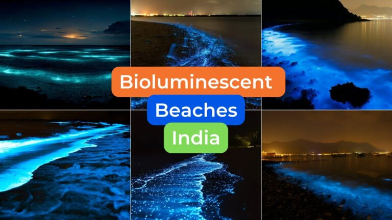 10 Beautiful bioluminescent beaches in India